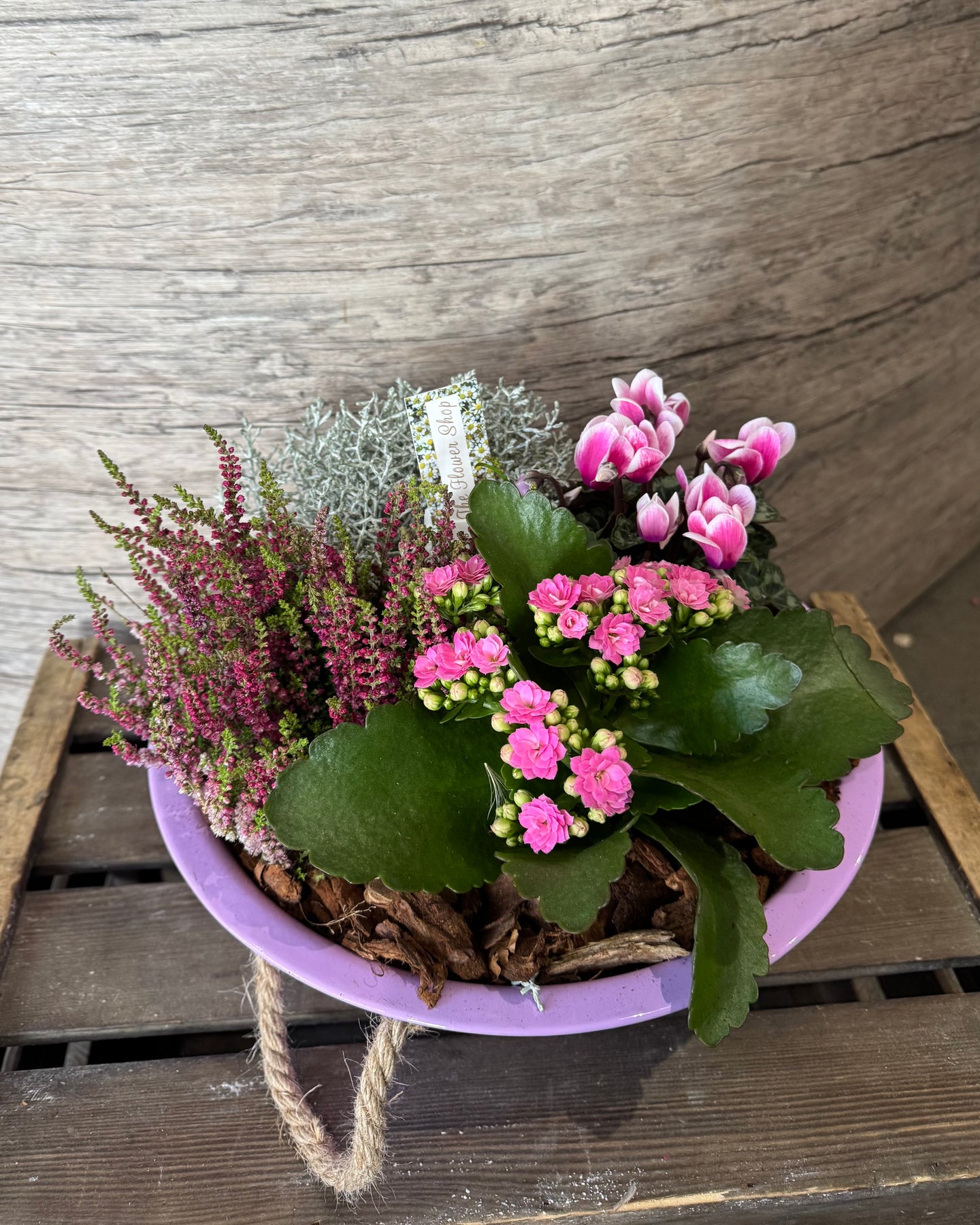 Pretty Autumn Planter