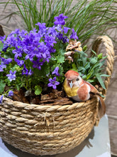 Load image into Gallery viewer, Basket Planter

