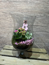 Load image into Gallery viewer, Kalanchoe cocktail vase
