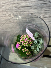 Load image into Gallery viewer, Kalanchoe cocktail vase
