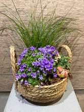 Load image into Gallery viewer, Basket Planter
