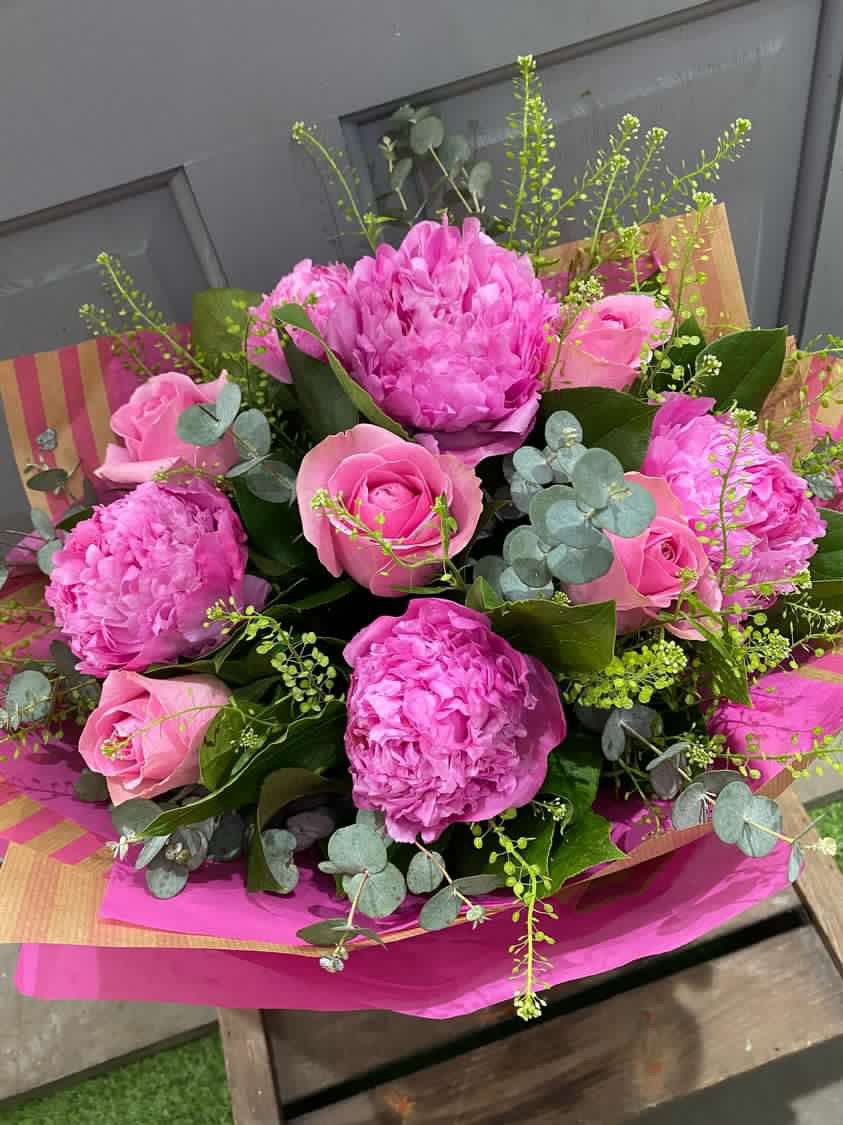 Peony Passion